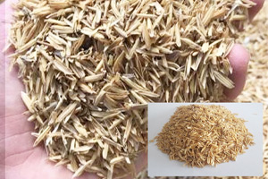 زمان و نحوه جداسازی پوسته برنج چگونه است؟